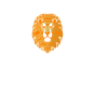 AFRIRENT: YELLOW MACHINERY LEASING